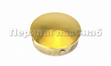 Заглушка штампованная Ø38х1.5 мм, (AISI 304), под золото Фk036-88 купить в Челябинске Заглушка штампованная Ø38х1.5 мм, (AISI 304), под золото Фk036-88 купить в Челябинске